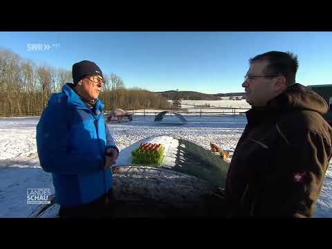 Warum die Hühner im Winter weniger Eier legen.