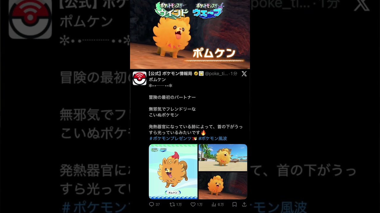 ポケモン風波の御三家情報が解禁！#ポケモン30周年＃ポケモン風波＃ポムケン