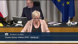 Marlies Steiner-Wieser - Arbeitsvertragsrechts-Anpassungsgesetz - 18.12.2025