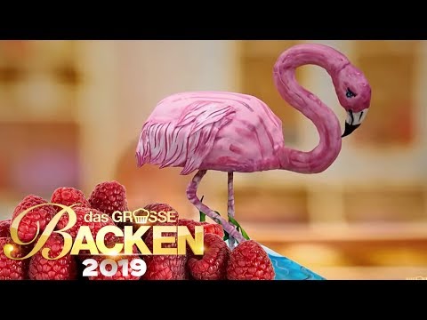 XXL-3D-Kuchen: Tierischer Gravity Cake | Aufgabe | Das große Backen 2019 | SAT.1