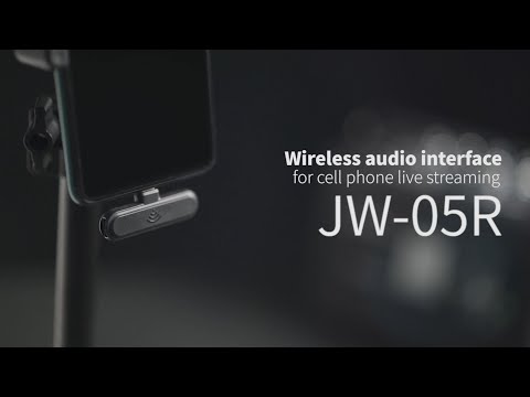 JOYO JW-05R Wireless Audio Interface