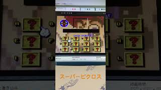 今日の検品　マリオのスーパーピクロス