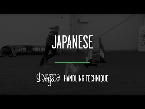 Japanese Agility Handling Technique