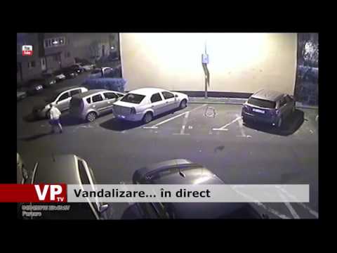 Vandalizare… în direct