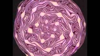 Ratatat. Montanita (cover)