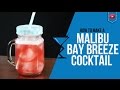 Malibu Bay Breeze - How to make a Malibu Bay Breeze Cocktail Recipe by Drink Lab (Popular)