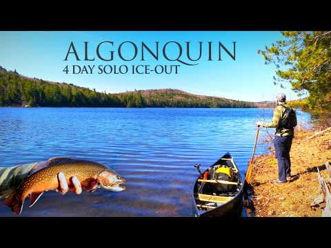 4-Day Solo Ice-Out | Canoe Camping & Brook Trout in Algonquin