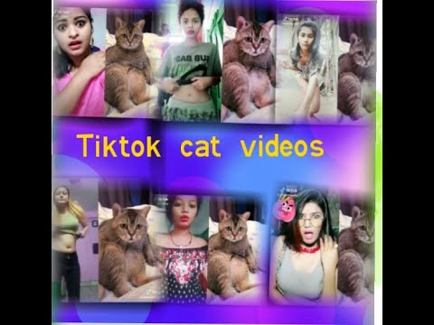 Tiktok cat videos Telugu funny videos entertainment Telugu jabardasth Comedy