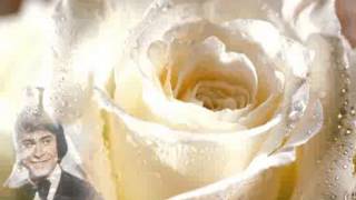 Video thumbnail of "roy black   eine rose schenk ich dir"