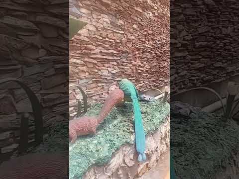Guatapé antioquia