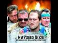 Hayseed dixie - Cat Scratch Fever