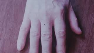 "Carl Th. Dreyer" in "Walden" (1969), by Jonas Mekas