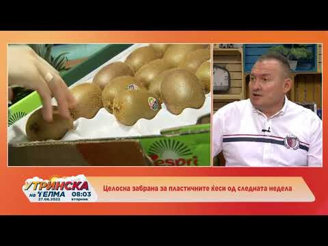 НАША УТРИНСКА ТЕМА   Целосна забрана за пластичните кеси   Александар Боризовски