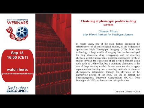 Clustering of phenotypic profiles in drug screens