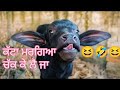 katta margea chak ke le ja (funny punjabi audio)