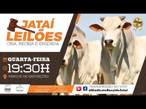 JATAÍ LEILÕES - CRIA, RECRIA E ENGORDA  - 17 DE ABRIL DE 2024