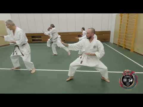 TERRANEGRA KARATE SHOTOKAN