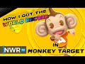 Super Monkey Ball Banana Mania Monkey Target Tips