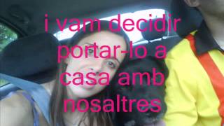 Adopció gossos