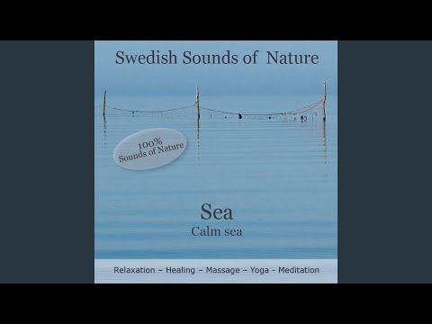 Swedish Sounds of Nature - Sea - Track 1 Part 1