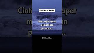 Download lagu Cinta sejati dapat memberikan perasaan... #shorts #subscribe #faktacinta #foryou #quotes #viral mp3