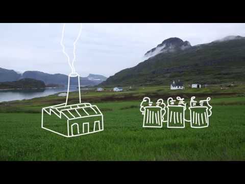 Nanuq: PCB in the Arctic