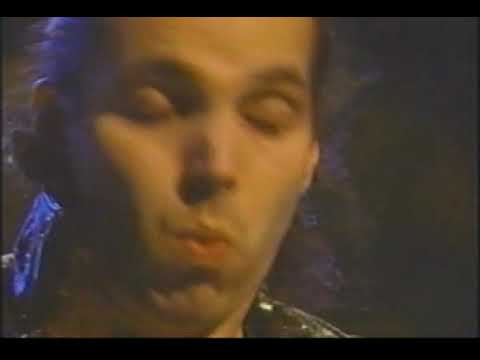 Brian May, Joe Satriani, Steve Vai, Cozy Powell, Nuno Bettencourt, Joe Walsh & Paul Rogers   Guitar