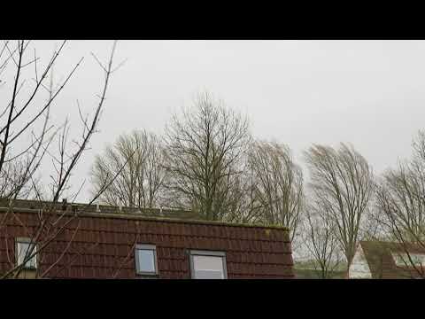 Storm 18 januari 2018 Westenholte, Zwolle