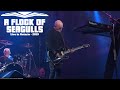A Flock Of Seagulls - Man Made - Live in Ontario 2019 Video HD