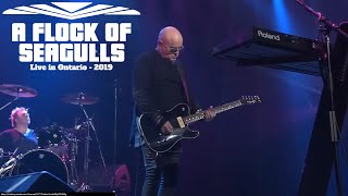 A Flock Of Seagulls - Man Made - Live in Ontario 2019 Video HD