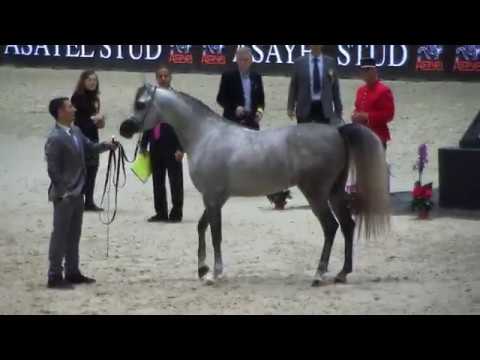 Memories of Paris 2018 - World Championships - Part 10 - Junior  Male - Group B