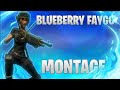 BLUEBERRY FAYGO Highlight 1 Zr Noxerr