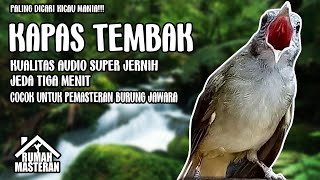 Download lagu MASTERAN KAPAS TEMBAK JERNIH JEDA, SPEED RAPAT PALING DICARI KICAU MANIA mp3 Download lagu MASTERAN KAPAS TEMBAK JERNIH JEDA, SPEED RAPAT PALING DICARI KICAU MANIA mp3