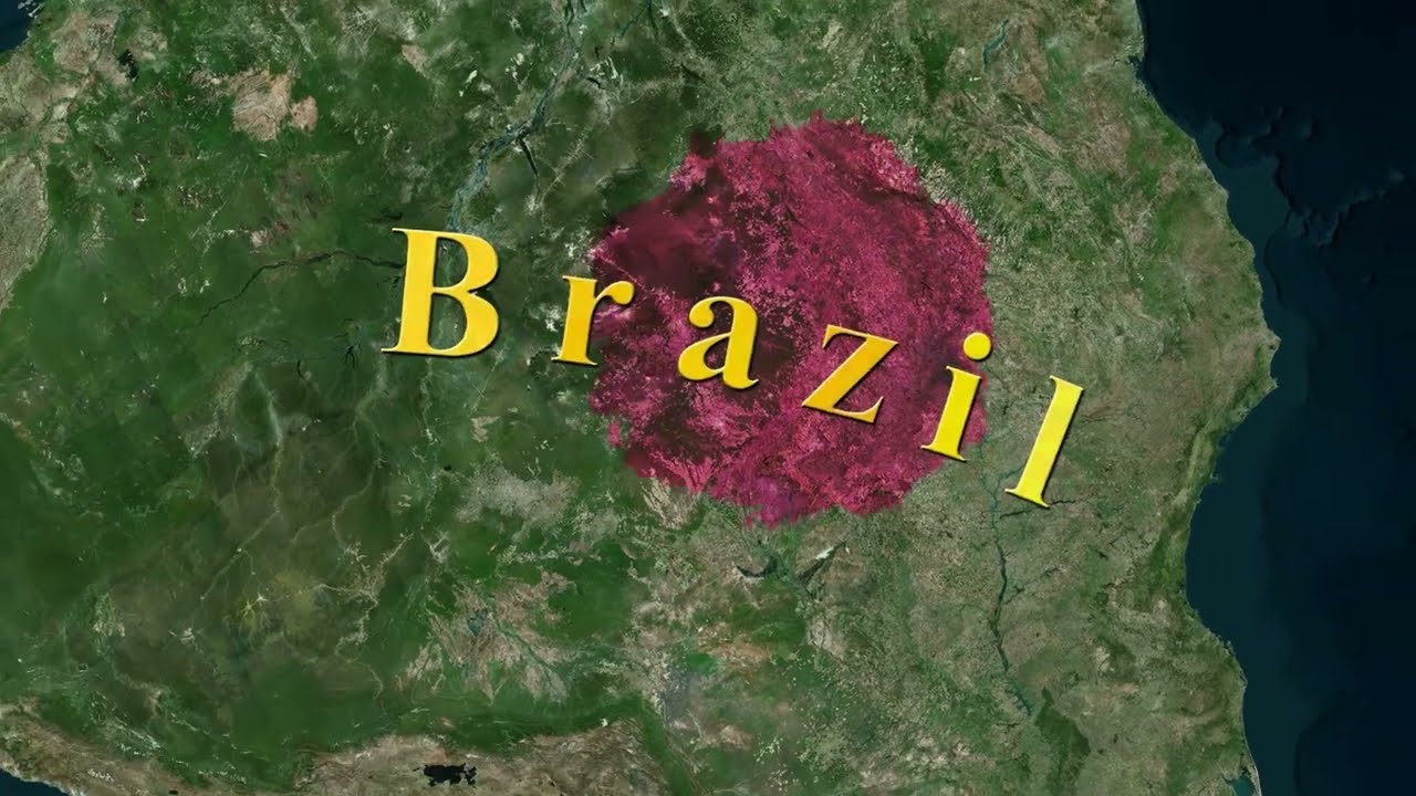 Sell your Brand in Brazil