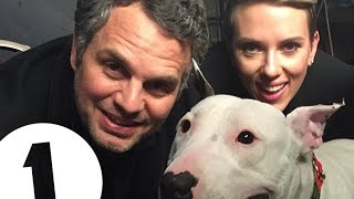 Pig (the dog) interviews Scarlett Johansson and Mark Ruffalo