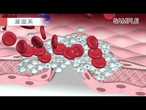 凝集について詳しく解説