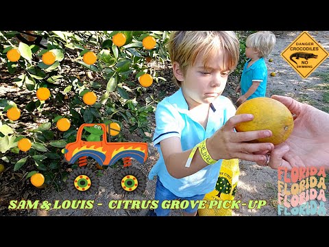 Orange Citrus Grove & Monster Truck with Sam & Louis | Educational Videos for Kids