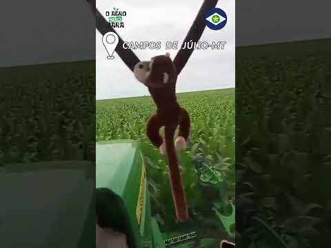 Campos de Júlio sempre fazendo acontecer#2026