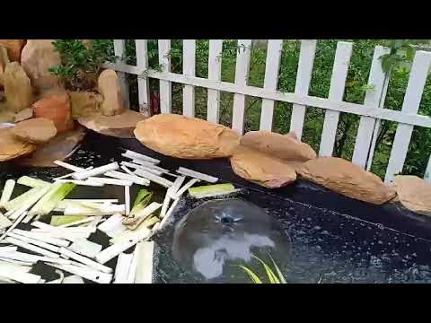 Hòn non bộ cho sân vườn đẹp 0898.545.646 canhquannghiahieu.com