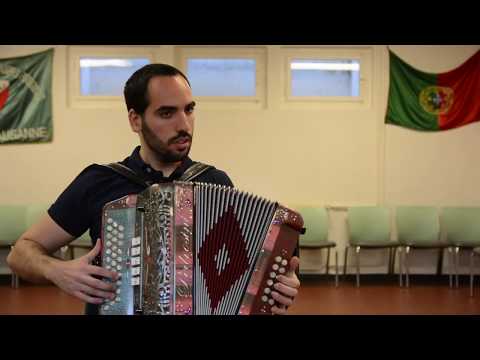 MALHÃO MALHÃO - CONCERTINA