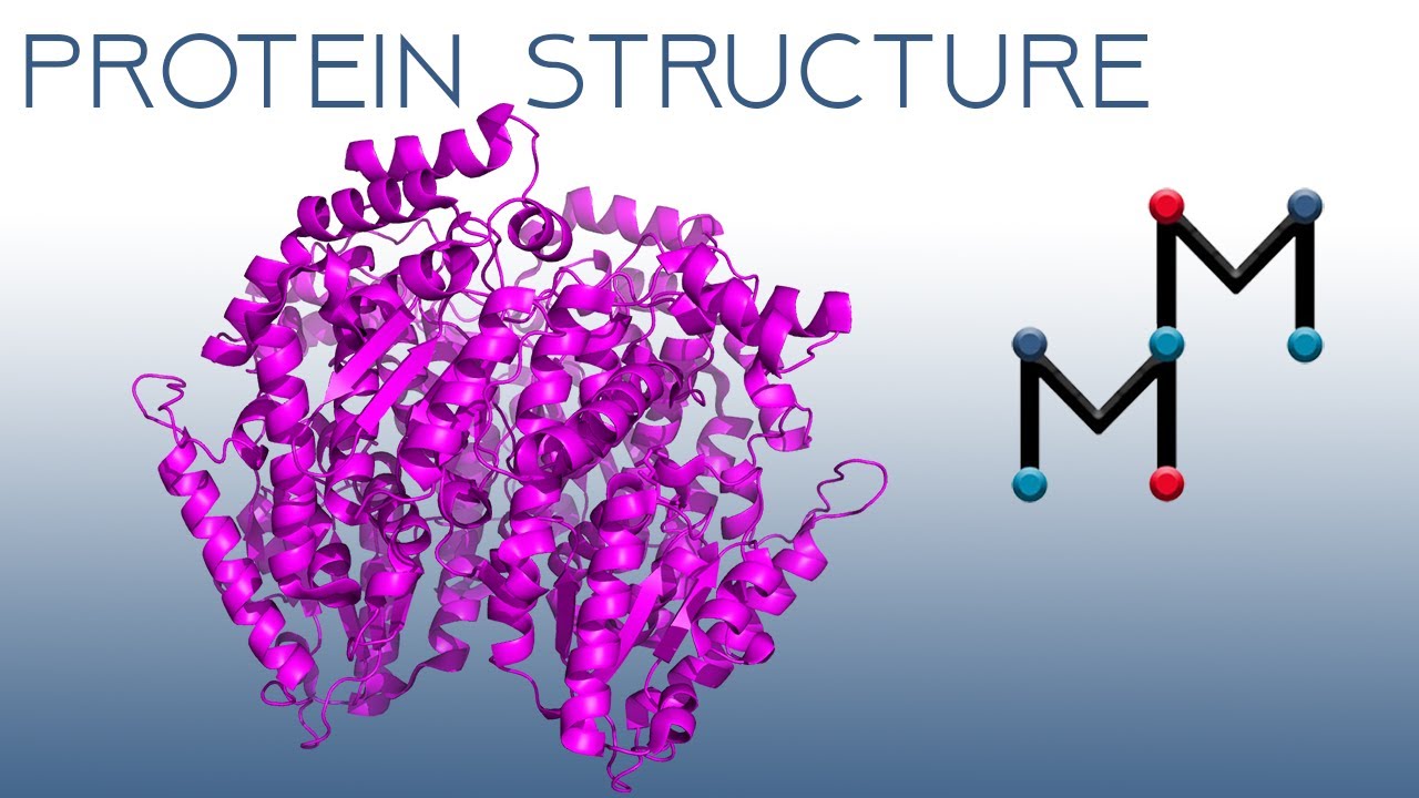 The Basics of Biomolecular Visualization