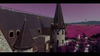 Cardi B - Bodak Yellow ( Gery-Nikol cover)