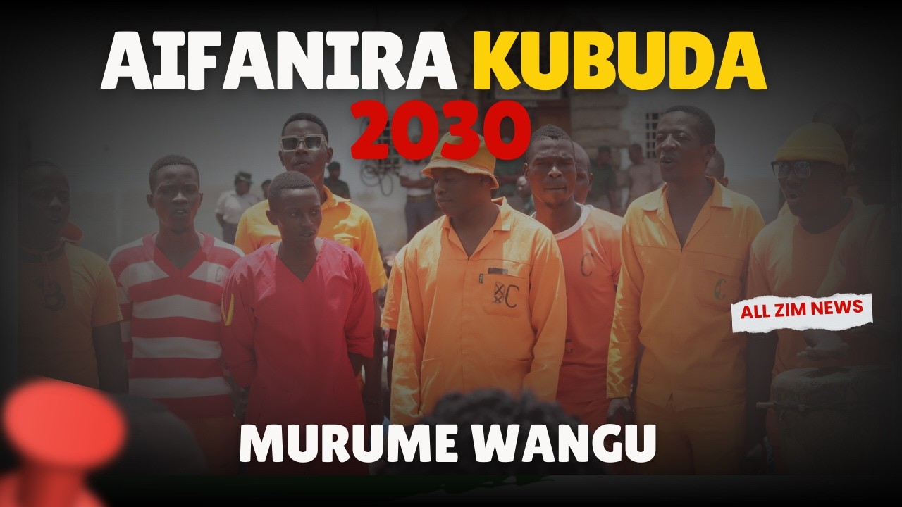 Zimbabwe Presidential Amnesty: Man Set for 2030 Release Freed Early