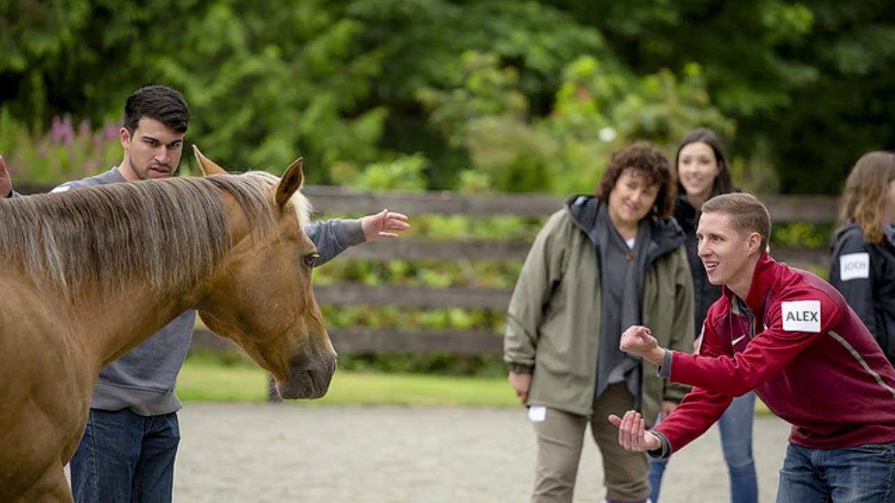 OHMC Foundation:  Leadership with Horses