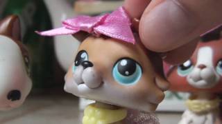 Littlest Pet Shop: Oregon Vlog #5 "Cookin' Up Awesome!"