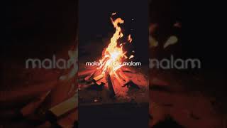 Download lagu Story WA Payung teduh-Tidurlah mp3