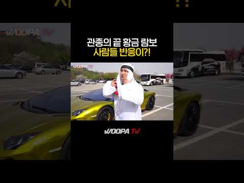 황금색 람보르기니 타고 다니면.?