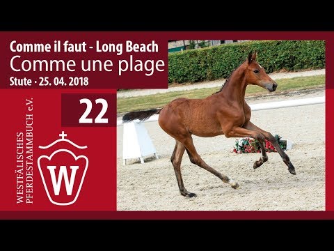 022  Comme une plage SF v. Comme il faut - Long Beach