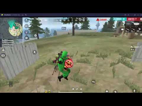 🚨Um Pouco de Poucas Ideias - BROTAA!🚨