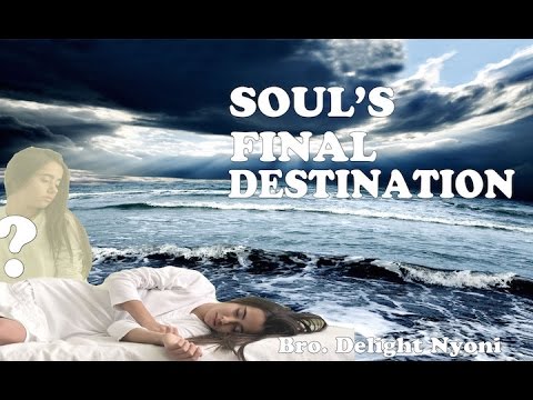 Soul's Final Destination by Bro Delight Nyoni
